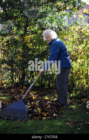 76 jährige weibliche Rentner clearing Herbstlaub in ihrem Garten in North Yorkshire, England. Stockfoto