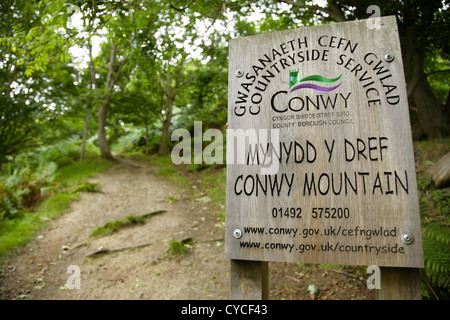 Melden Sie auf öffentlichen Wanderweg führt zum Conwy Berg, Nordwales. Stockfoto