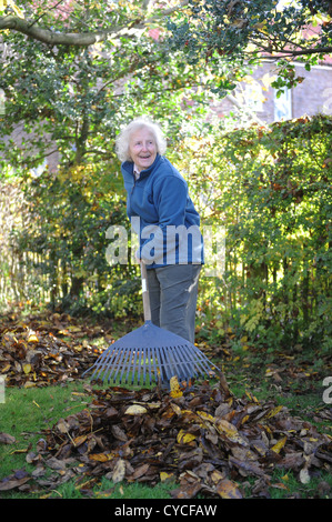 76 jährige weibliche Rentner clearing Herbstlaub in ihrem Garten in North Yorkshire, England. Stockfoto