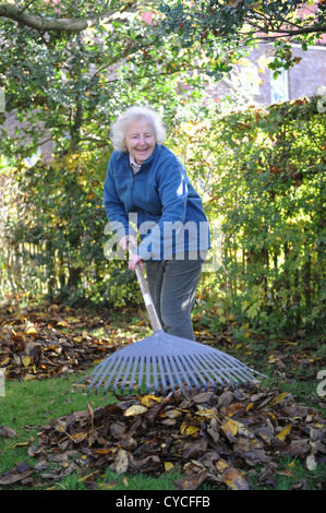 76 jährige weibliche Rentner clearing Herbstlaub in ihrem Garten in North Yorkshire, England. Stockfoto