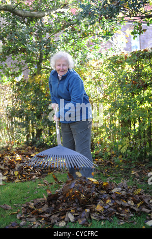 76 jährige weibliche Rentner clearing Herbstlaub in ihrem Garten in North Yorkshire, England. Stockfoto