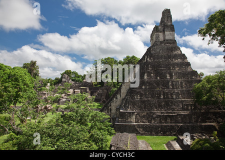 Die beeindruckenden Maya-Ruinen von Tikal im Dschungel von Guatemala, Mittelamerika. Stockfoto