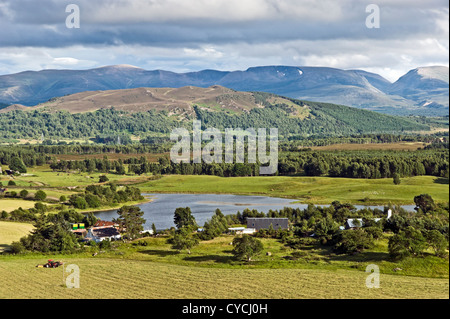 Cairn Gorm Berg (links) und Speyside von oben Avielochan nördlich von Aviemore Highland Schottland gesehen Stockfoto