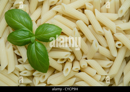 Penne Rigate Nudeln Stockfoto