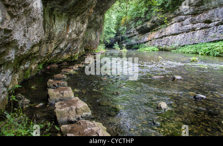 Trittsteine über einen überhängenden Abschnitt von Chee Dale auf dem Fluss Wye in der Nähe von Buxton in Derbyshire Stockfoto