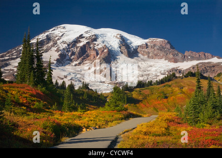 WASHINGTON - Mount Rainier erhebt sich über die Wiesen im Edith-Creek-Becken mit einem brillanten Herbst Leuchten in Mount Rainier aufgehellt Stockfoto