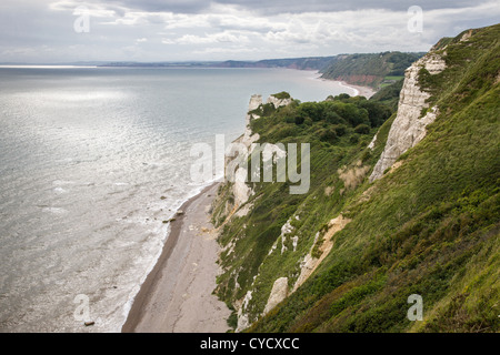Kalksteinfelsen an Bier Spitze in Devon Blick auf Branscombe Bay Stockfoto