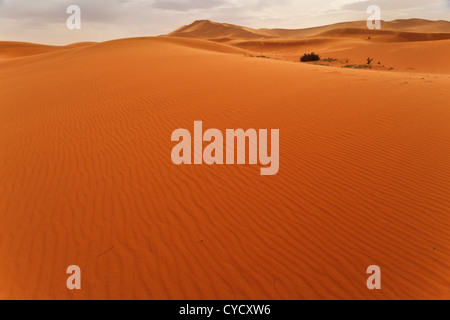 Wind gekräuselt Weite der Düne mit Blick auf die Oase in der Wüste Sahara Marokko an bewölkten Tag. Stockfoto