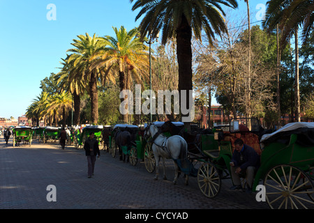 Pferdewagen mit Fahrer aufgereiht und warten einen Tarif in der Nähe von Djemaa El-Fna Markt abholen. Marrakesch, Marokko. Stockfoto