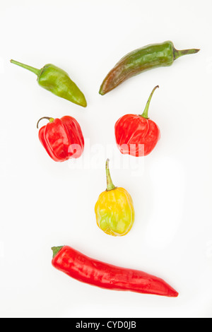 Verschiedene Arten von Chiles Stockfoto