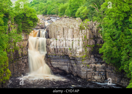 Hohe Kraft auf dem River Tees in der Nähe von Middleton-in-Teesdale, County Durham. Stockfoto