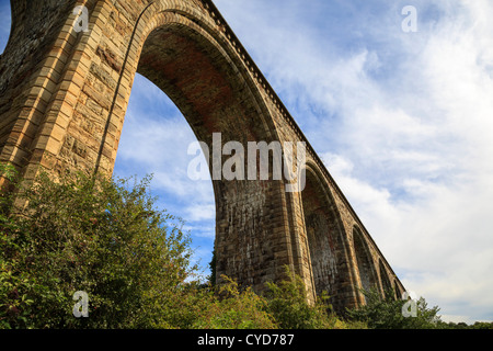 Der Eisenbahnviadukt über den Fluss Dee in Ty Mawr Country Park Stockfoto