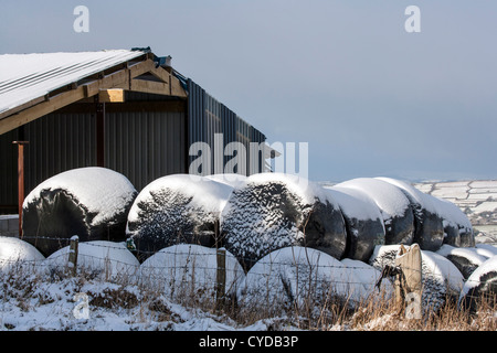 Ballen Heu im Schnee auf einem walisischen Bauernhof im Winter Heu mit schwarzer Plastikfolie abgedeckt / Stockfoto