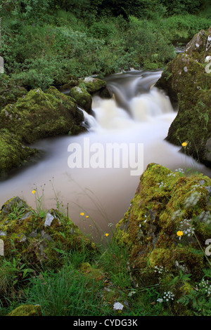 Fluss-Tweed in der Pfarrei von Tweeddale, Scottish Borders Stockfoto