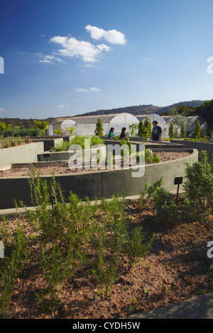 Sensorial Garten am Centro de Arte Contemporanea Inhotim, Brumadinho, Belo Horizonte, Minas Gerais, Brasilien Stockfoto