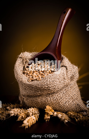 Weizen in Jute-Tasche und hölzerne Schaufel Stockfoto
