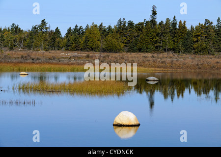 Findlinge und Röhrichten in flachen Teichen, La Cloche Island, Ontario, Canada Stockfoto