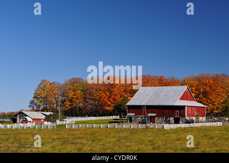 Gordons Wirtschaftsgebäude und Zaun, Manitoulin Jes Tehkummah, Ontario, Kanada Stockfoto