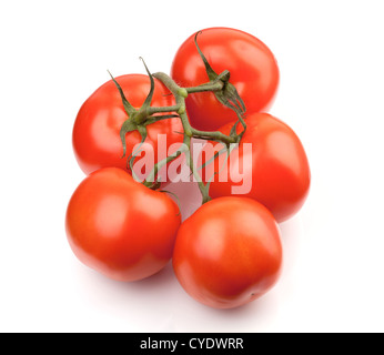 Zweig der frischen Tomaten. Isoliert auf weißem Hintergrund Stockfoto