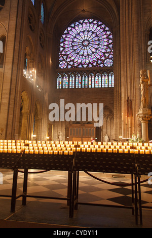 Rosette in der Kathedrale Notre Dame, Paris, Frankreich Stockfoto