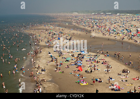 Niederlande, Scheveningen, in der Nähe von den Haag oder in Niederländisch: Den Haag. Leute, Sonnenbaden am Strand. Im Sommer. Luftbild Stockfoto