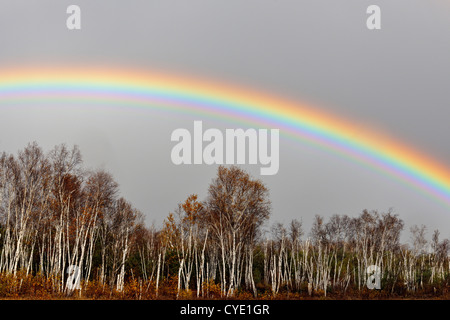 Fliehenden Wolken und Regenbogen, Greater Sudbury, Ontario, Kanada Stockfoto