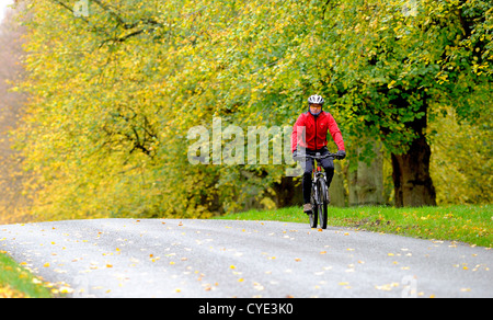 Radsportler, die entlang der Lindenallee in Clumber Park, Nottinghamshire, England im Herbst. Stockfoto