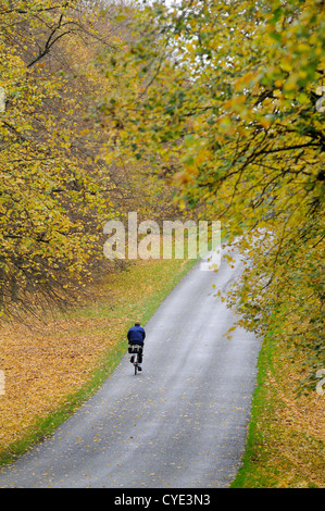 Radsportler, die entlang der Lindenallee in Clumber Park, Nottinghamshire, England im Herbst. Stockfoto