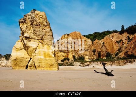 Praia da Rocha Strand am Atlantik im Süden Portugals Algarve Stockfoto