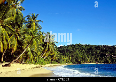 8288. Anse Takamaka, Mahe, Seychellen Stockfoto