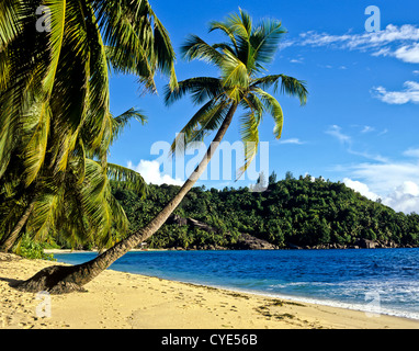 8290. Anse Takamaka, Mahe, Seychellen Stockfoto