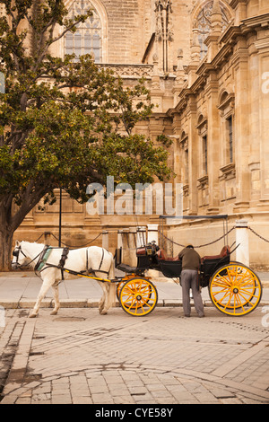 Spanien, Andalusien, Provinz Sevilla, Sevilla, Pferd Wagen, Plaza del Triunfo Stockfoto