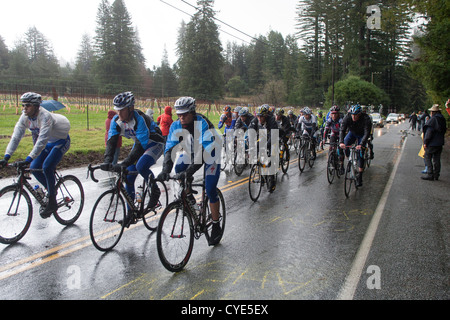 Radfahrer im Wettbewerb mit der AMGEN Tour of California. Stockfoto