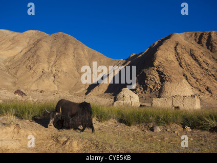 Kirgisische Gräber in der Nähe von Karakul See, Xinjiang Uyghur autonome Region, China Stockfoto