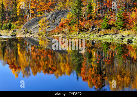 Herbstliche Spiegelungen im Junction Creek, Greater Sudbury, Ontario, Kanada Stockfoto