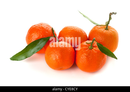 Fünf Reifen Mandarinen mit Blätter. Isoliert auf weiss Stockfoto