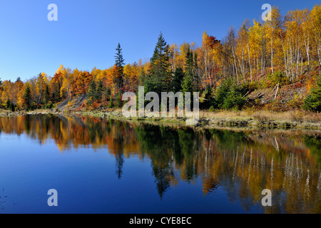 Herbstliche Spiegelungen im Junction Creek, Greater Sudbury, Ontario, Kanada Stockfoto