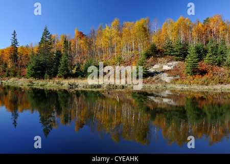 Herbstliche Spiegelungen im Junction Creek, Greater Sudbury, Ontario, Kanada Stockfoto