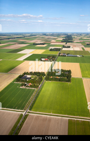 Niederlande, Emmeloord, Bauernhöfe und Polderlandschaft. Antenne. Flovopolder. Stockfoto