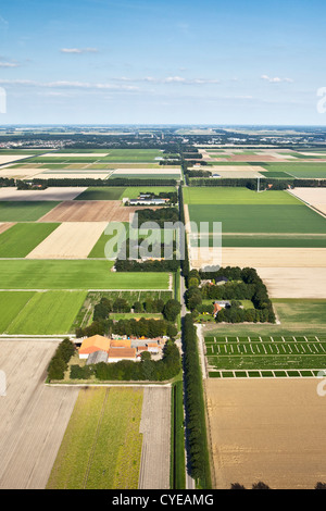 Niederlande, Emmeloord, Bauernhöfe und Polderlandschaft. Antenne. Flovopolder. Stockfoto