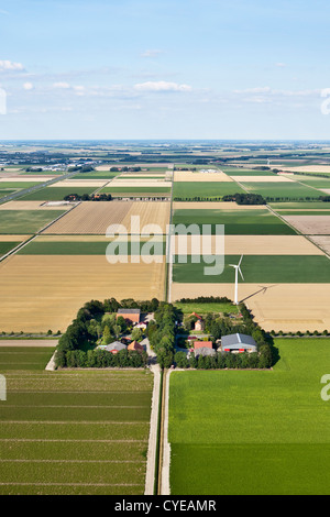 Niederlande, Emmeloord, Bauernhöfe und Polderlandschaft. Antenne. Flovopolder. Stockfoto