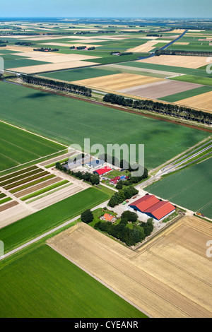 Niederlande, Emmeloord, Bauernhöfe und Polderlandschaft. Antenne. Flovopolder. Stockfoto