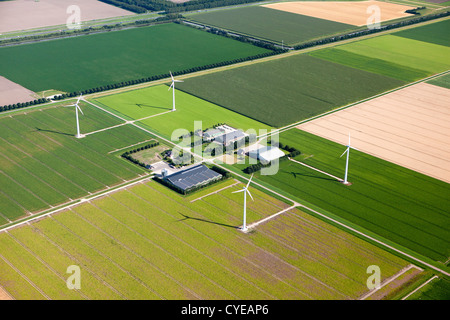 Niederlande, Emmeloord, Bauernhöfe und Polderlandschaft. Antenne. Flovopolder. Stockfoto