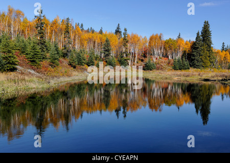 Herbstliche Spiegelungen im Junction Creek, Greater Sudbury, Ontario, Kanada Stockfoto