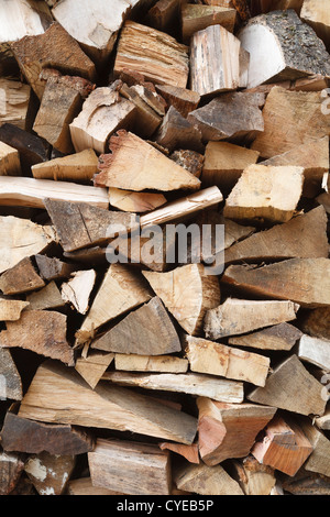 Nahaufnahme von Schnittholz Eiche Brennholz gestapelt in einem Holzstapel Stockfoto