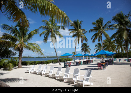 Tabellen der Sonne liegen und privaten Strand, umgeben von Palmen Bäume Islamorada Florida Keys usa Stockfoto
