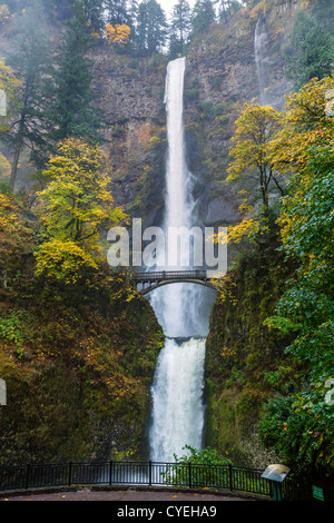 Multnomah Falls, Columbia River Gorge, Multnomah County, Oregon, USA Stockfoto