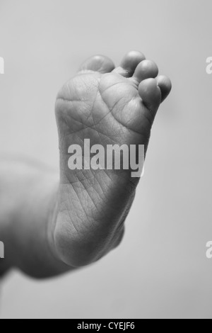 Niedliche Baby Säugling faltige Fußsohle mit Zehen in Schwarzweiß, Graustufen. Stockfoto