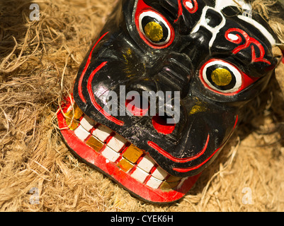 Shishi Löwen Hundemaske auf Mushaama Erntefest Hateruma Insel Yaeyamas, Okinawa, Japan Stockfoto