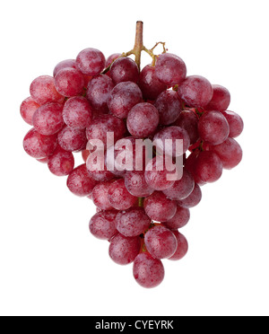 Frische rote Trauben Zweig mit Wassertropfen. Isoliert auf weißem Hintergrund Stockfoto